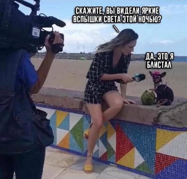 Никакие картинки
