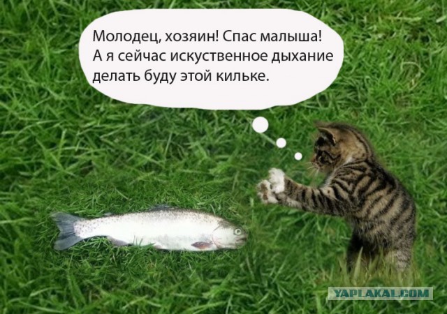 Добра ПСТО!