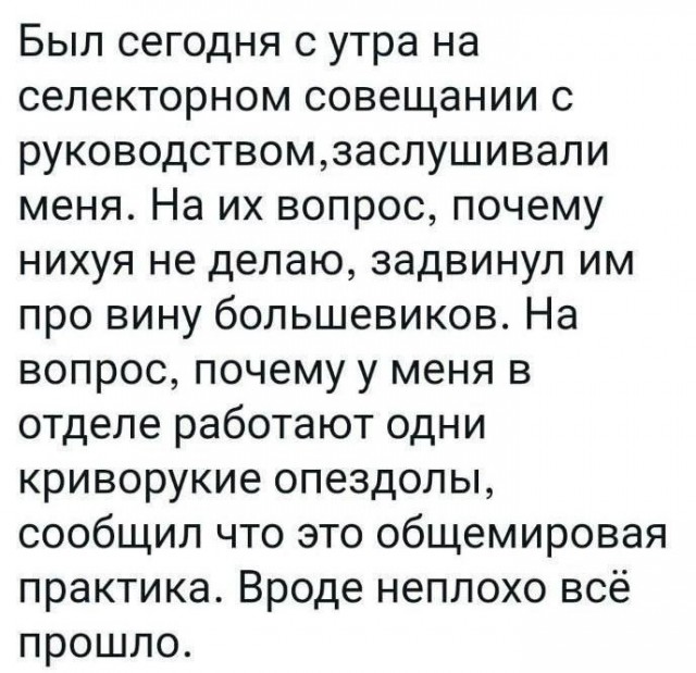 Всего понемногу. От 29.06.2024