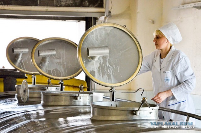 Как делают Рогачевскую сгущенку