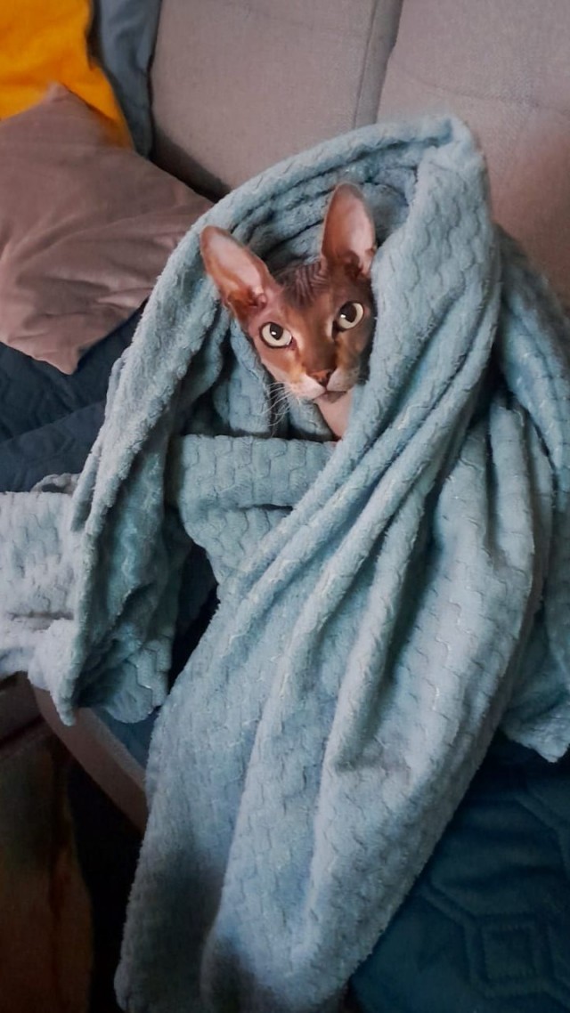 Вот скажите