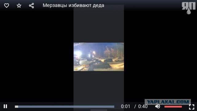 Дикий случай в Рыбинске