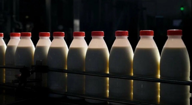 Фальсификат молочной продукции у 14 производителей