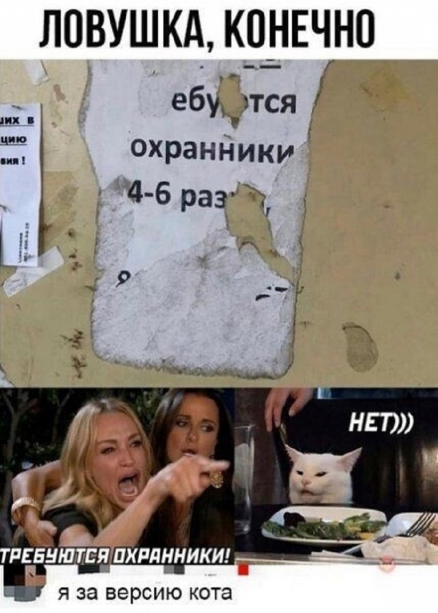Так себе картинки 26.02.25