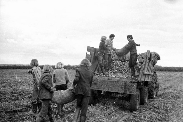 Фотографии из прошлого нашей страны – 93