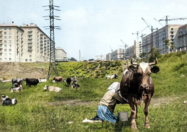 Мороженое в вафельныx cтаканчикax, 1980-е, СССР