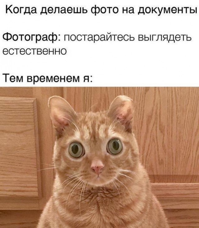 Сегодня четверг