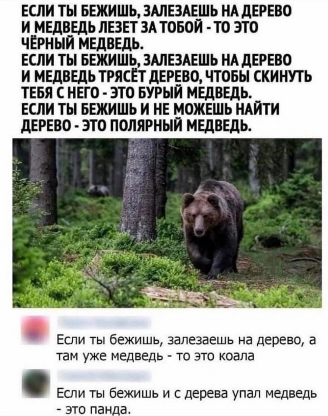 Завалялось тут случайно немного забавных картинок