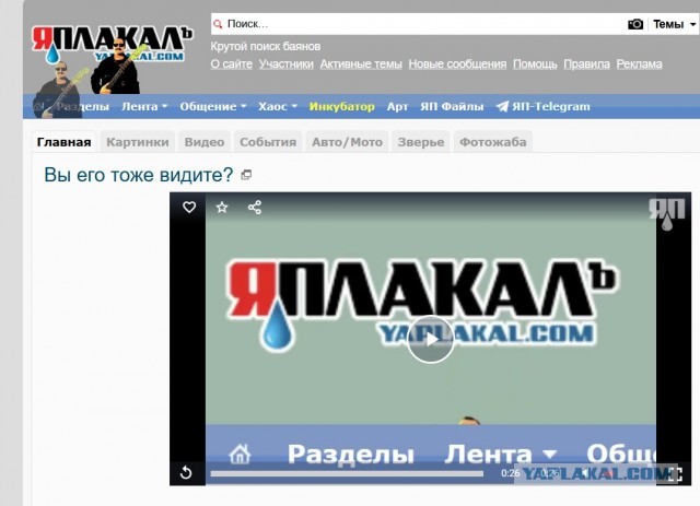 Вы его тоже видите?