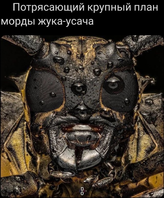Картинки разные с надписями и без