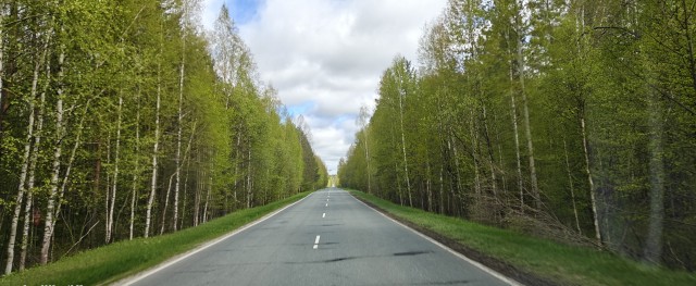 Картинки с покатушки