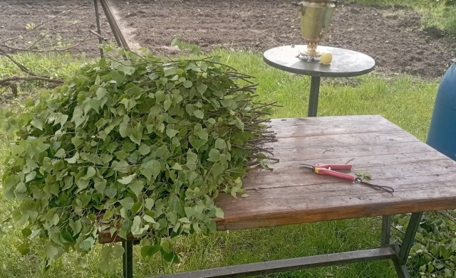 Вяжем веники. Сами