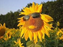 на дерибасовской хорошая погода