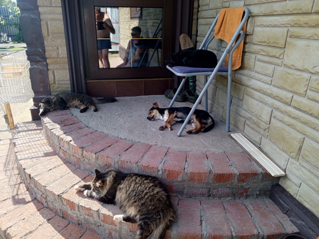 Свой среди чужих, чужой среди своих...