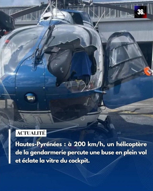 Верхние Пиренеи: на скорости 200 км/ч вертолёт EC145 французской жандармерии (FAGN) столкнулся с соколом в воздухе.