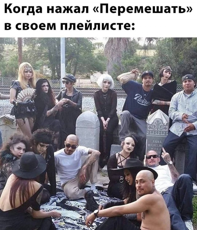 Картинки для деградации 21 (разной степени свежести)