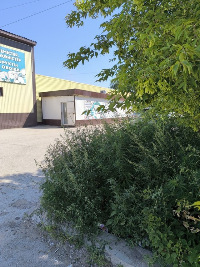 Находки на копе бывают разные