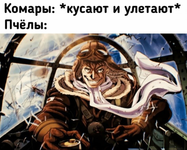 Картинки для деградации 27 (разной степени свежести)