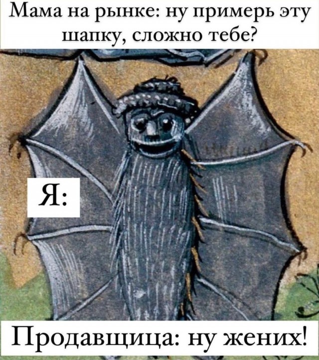 Веселое настроение в картинках (28.09.2025)