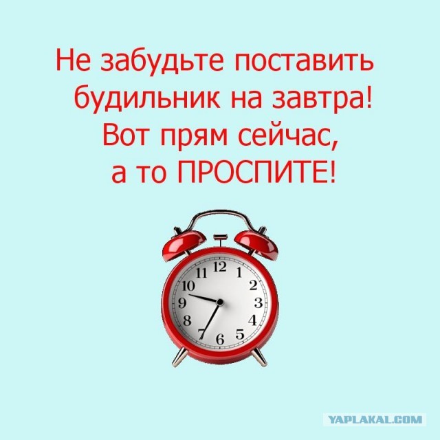 Будильник на завтра