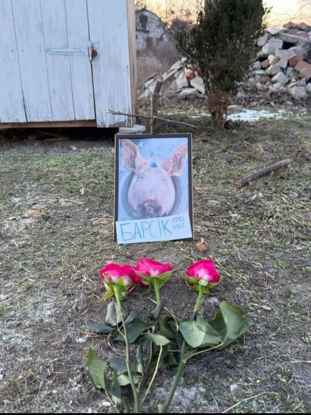 Пятничные бояны