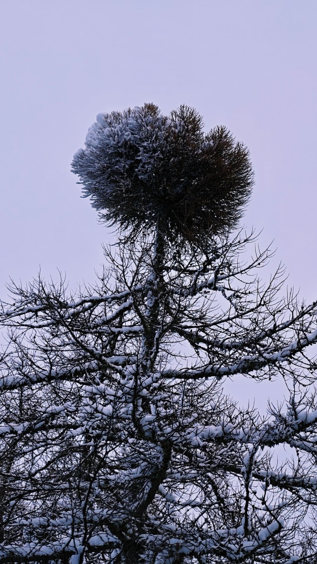 Зимняя дорога