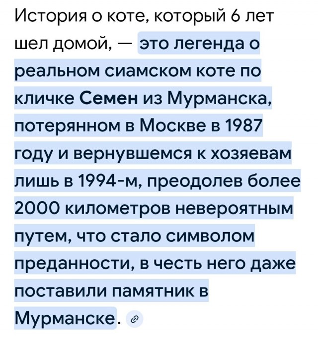 Кот по кличке Филу разорвал соцсети