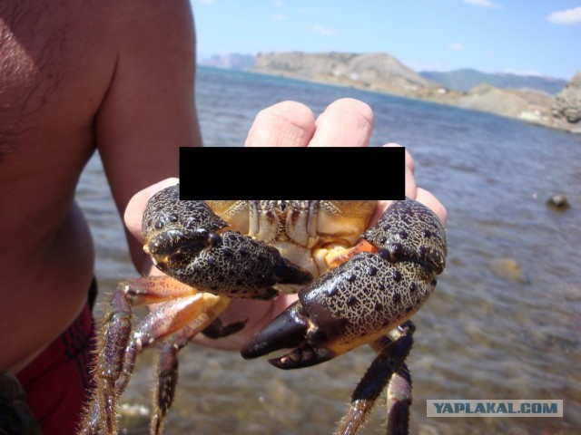 Как мы в Крым катались