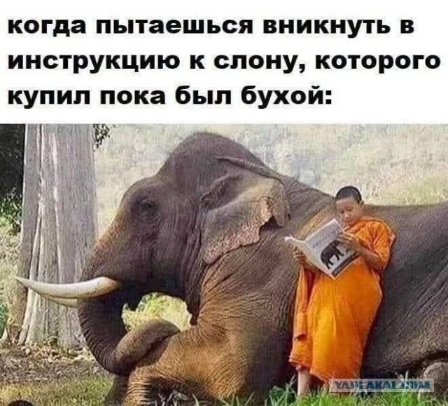 Картиночки, баянчики 19 июля