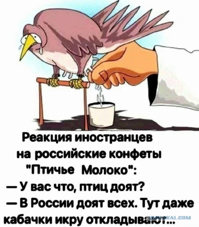 Он не глупый, он просто ставит вам диагноз.
