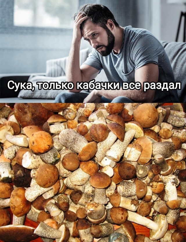 Грибы пошли