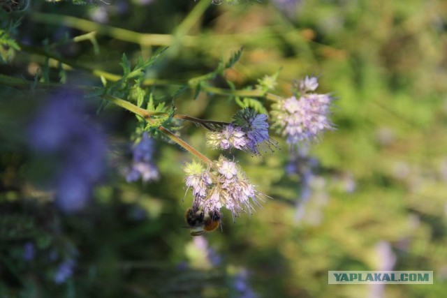 Фотоотчёт. Ивановская область.