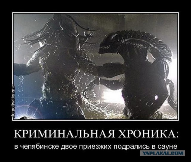 Демотиваторы.