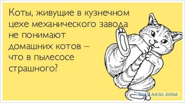 Картинки, вроде смешные.