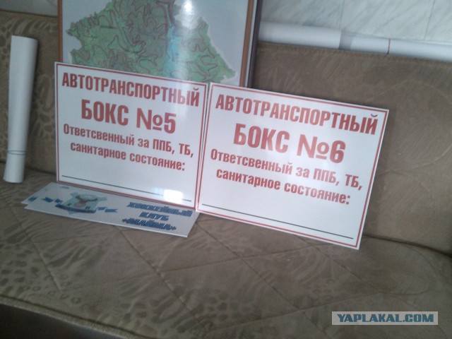 Маразмы месяца
