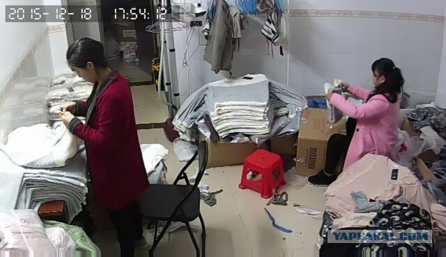 За что я люблю китайцев