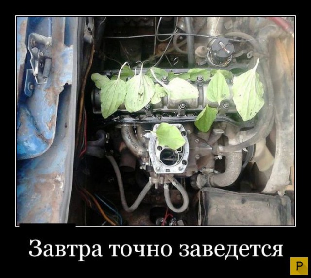 Прикольные картинки