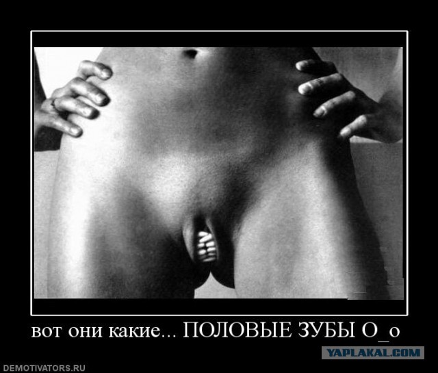 Сколько мужчин должно быть у современной женщины?