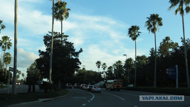 Флорида.Орландо.