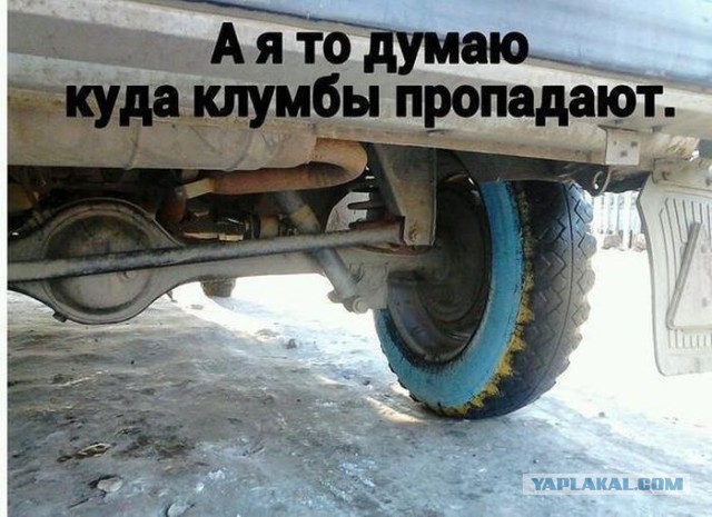 Автоюмор