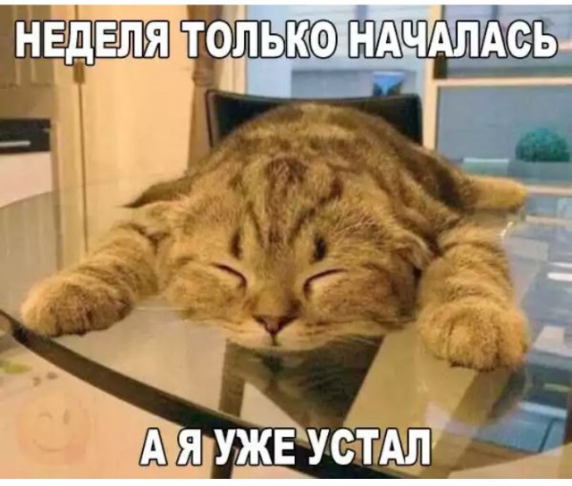 Забавные картинки вразнобой