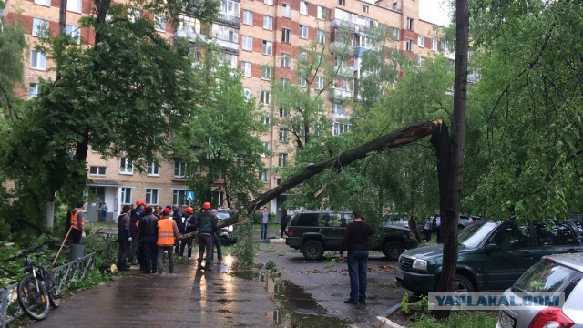 В Москве ураган!