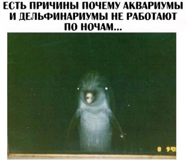 Подборка интересных и веселых картинок