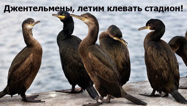 Футбол. Чемпионат России 2017-2018 часть 5