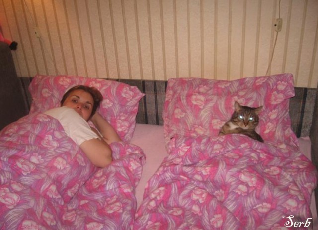 Котэ и кровать