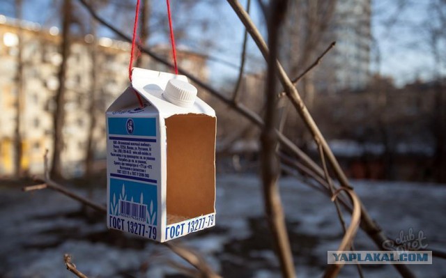 Спёрли