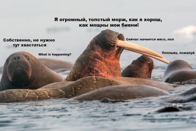 Эй, стахановец, заканчивай работу, погнали отдыхать!
