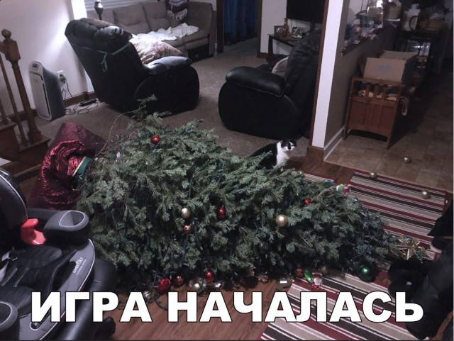 Немного милоты