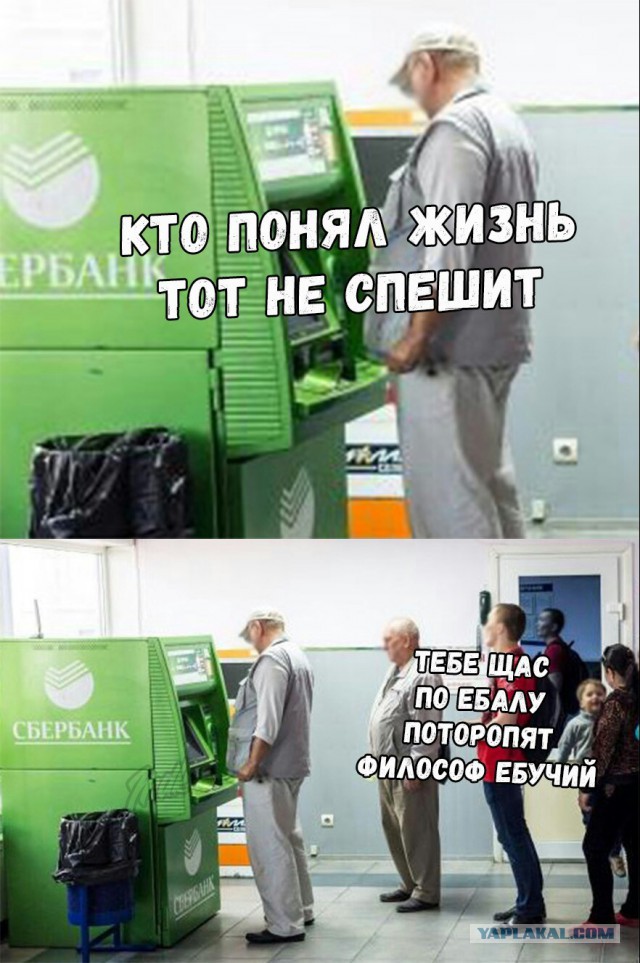 Долботятлы у банкомата