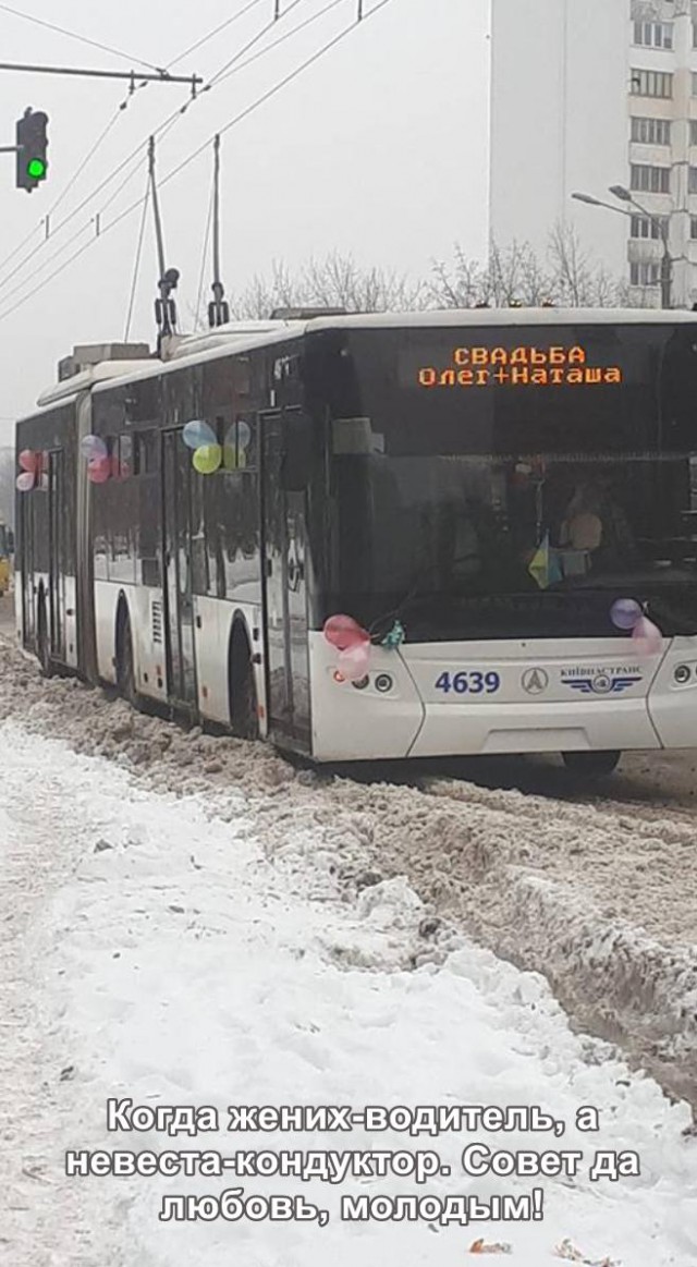 Лента прикольных картинок